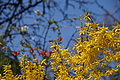 DSC09923 - Bernhard Saalfeld