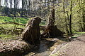 DSC09928 - Bernhard Saalfeld