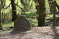 DSC09932 - Bernhard Saalfeld