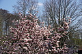 DSC09946 - Bernhard Saalfeld