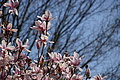 DSC09948 - Bernhard Saalfeld