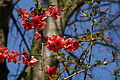DSC09951 - Bernhard Saalfeld