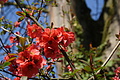 DSC09952 - Bernhard Saalfeld
