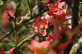 DSC09953 - Bernhard Saalfeld