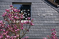 DSC09955 - Bernhard Saalfeld