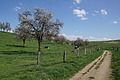 DSC09957 - Bernhard Saalfeld