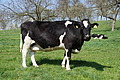 DSC09958 - Bernhard Saalfeld
