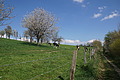 DSC09960 - Bernhard Saalfeld