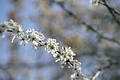 DSC09961 - Bernhard Saalfeld
