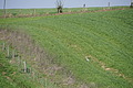 DSC09963 - Bernhard Saalfeld