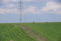 DSC09964 - Bernhard Saalfeld