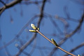 DSC09966 - Bernhard Saalfeld
