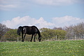 DSC09971 - Bernhard Saalfeld
