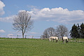 DSC09972 - Bernhard Saalfeld