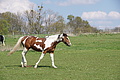 DSC09974 - Bernhard Saalfeld