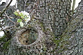 DSC09979 - Bernhard Saalfeld