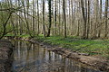 DSC09981 - Bernhard Saalfeld