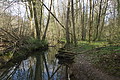 DSC09984 - Bernhard Saalfeld