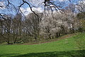 DSC09985 - Bernhard Saalfeld