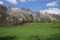 DSC09986 - Bernhard Saalfeld
