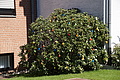 DSC00054 - Bernhard Saalfeld