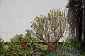 DSC00055 - Bernhard Saalfeld