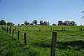 DSC00058 - Bernhard Saalfeld