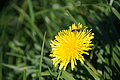 DSC00064 - Bernhard Saalfeld