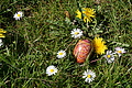 DSC00066 - Bernhard Saalfeld