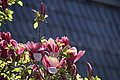 DSC00074 - Bernhard Saalfeld