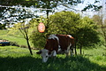 DSC00079 - Bernhard Saalfeld