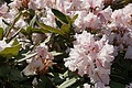 DSC00081 - Bernhard Saalfeld