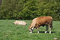 DSC00082 - Bernhard Saalfeld