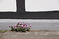 DSC00083 - Bernhard Saalfeld