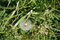 DSC00087 - Bernhard Saalfeld