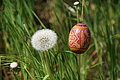 DSC00098 - Bernhard Saalfeld