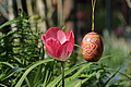DSC00107 - Bernhard Saalfeld