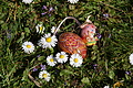 DSC00114 - Bernhard Saalfeld