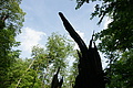 DSC00334 - Bernhard Saalfeld