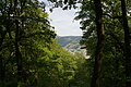 DSC00336 - Bernhard Saalfeld