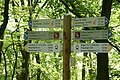 DSC00345 - Bernhard Saalfeld
