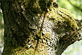 DSC00346 - Bernhard Saalfeld