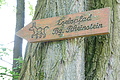 DSC00360 - Bernhard Saalfeld
