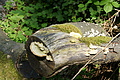 DSC00374 - Bernhard Saalfeld