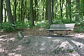 DSC00377 - Bernhard Saalfeld
