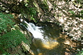 DSC00379 - Bernhard Saalfeld