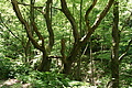 DSC00380 - Bernhard Saalfeld