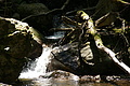 DSC00381 - Bernhard Saalfeld