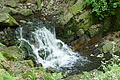 DSC00382 - Bernhard Saalfeld