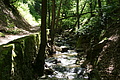 DSC00387 - Bernhard Saalfeld